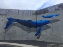 blue whales mural