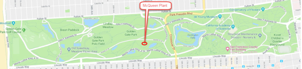 Figure 1. The Location of the McQueen Treatment Plant in Golden Gate Park