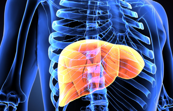Synthetic “Forever Chemical” Linked to Liver Cancer
